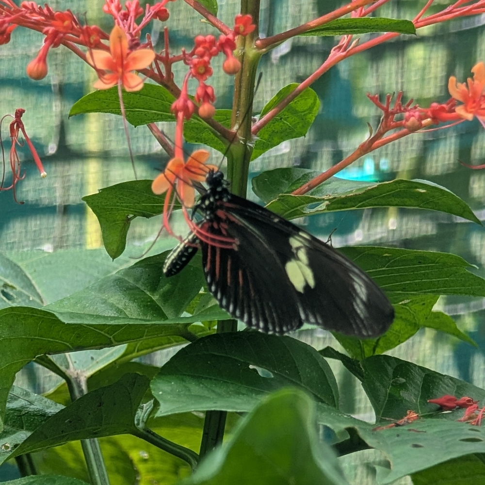 Items From My Closet That I No Longer Use But Can Go To A New Home.